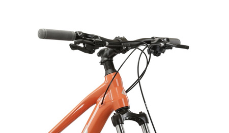 Rower górski Kross Lea 2.0 2024 różowy