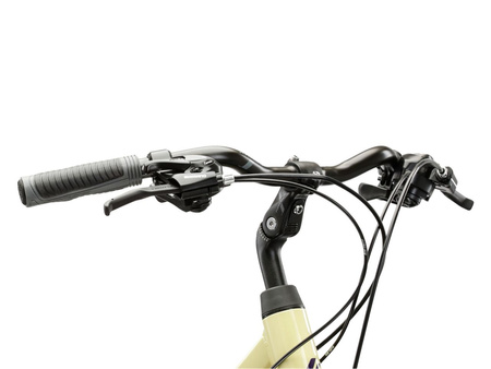 Rower trekkingowy Kross Trans 1.0 2025 beżowy