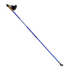 Kije Nordic Walking NILS TK631