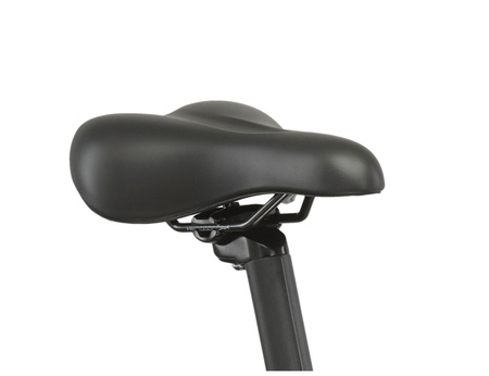 Rower górski Kross Lea 3.0 2025 czarny